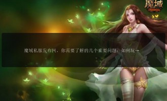 深入了解私服魔域：独特魅力、问题及多方面特点解析